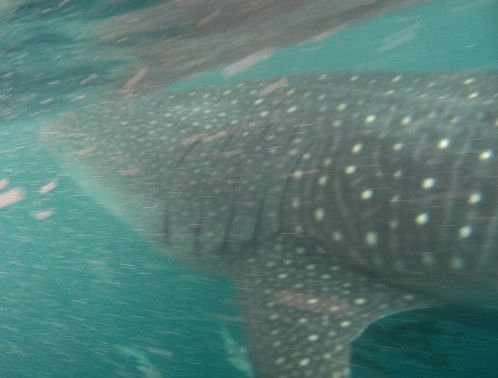 a436fa9b-4b0f-4fd6-81c4-40de48c68fbf