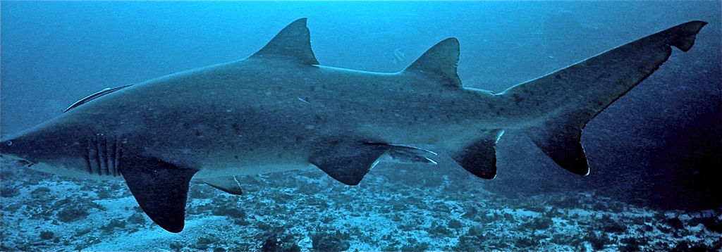 25e4be72-3e12-432e-bf2d-c9f34778a2c2