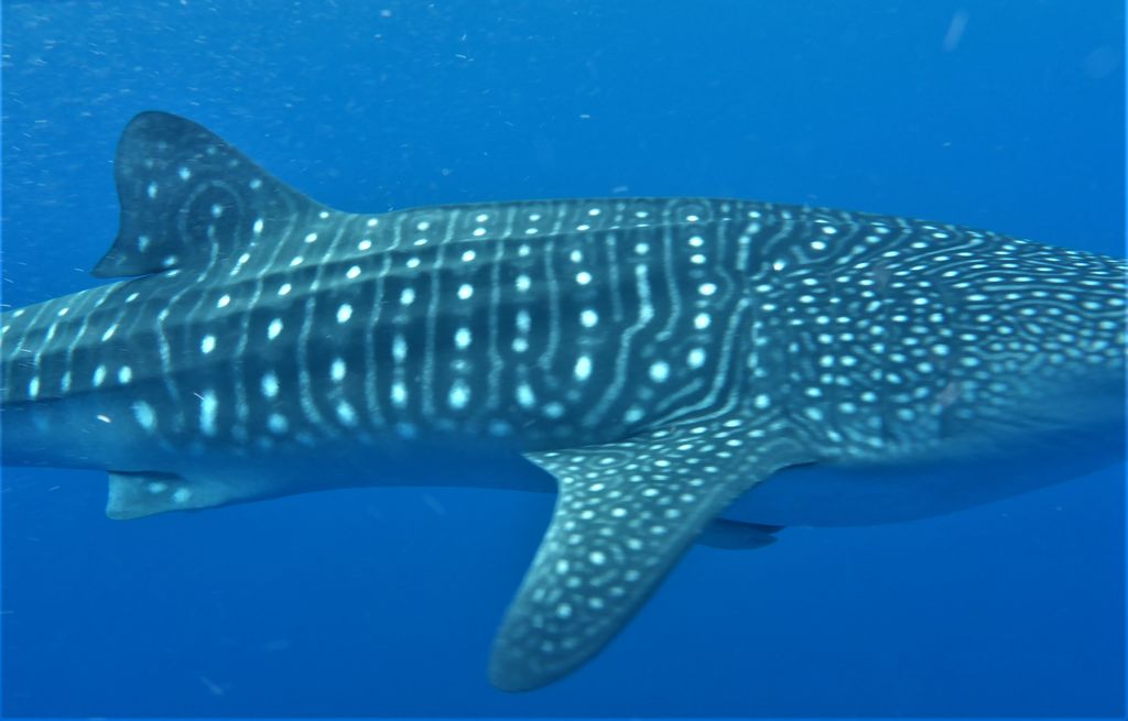 2f33900e-0821-44f5-be0b-0470b7987bdb