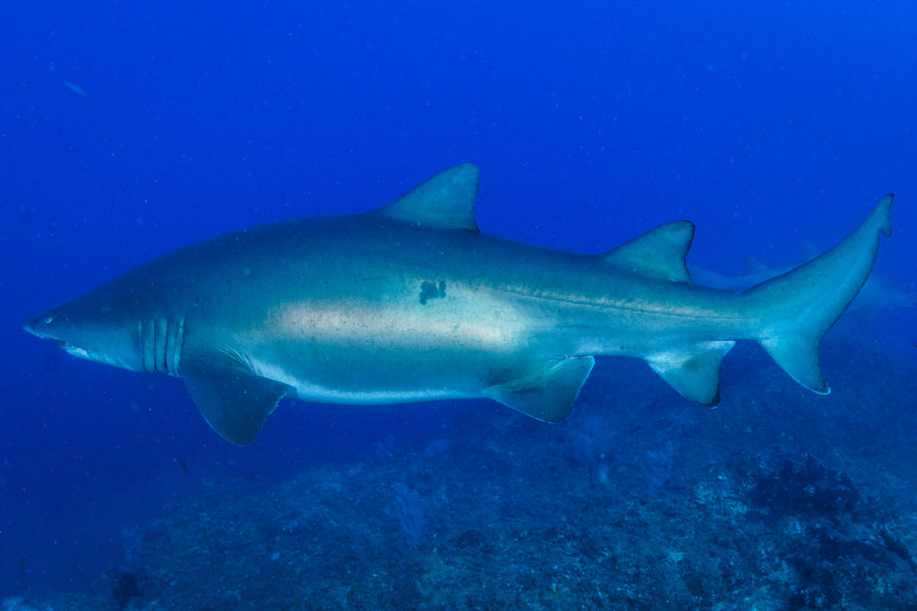 57c7c1ca-3830-4cf3-bb0f-7372f662bdc0