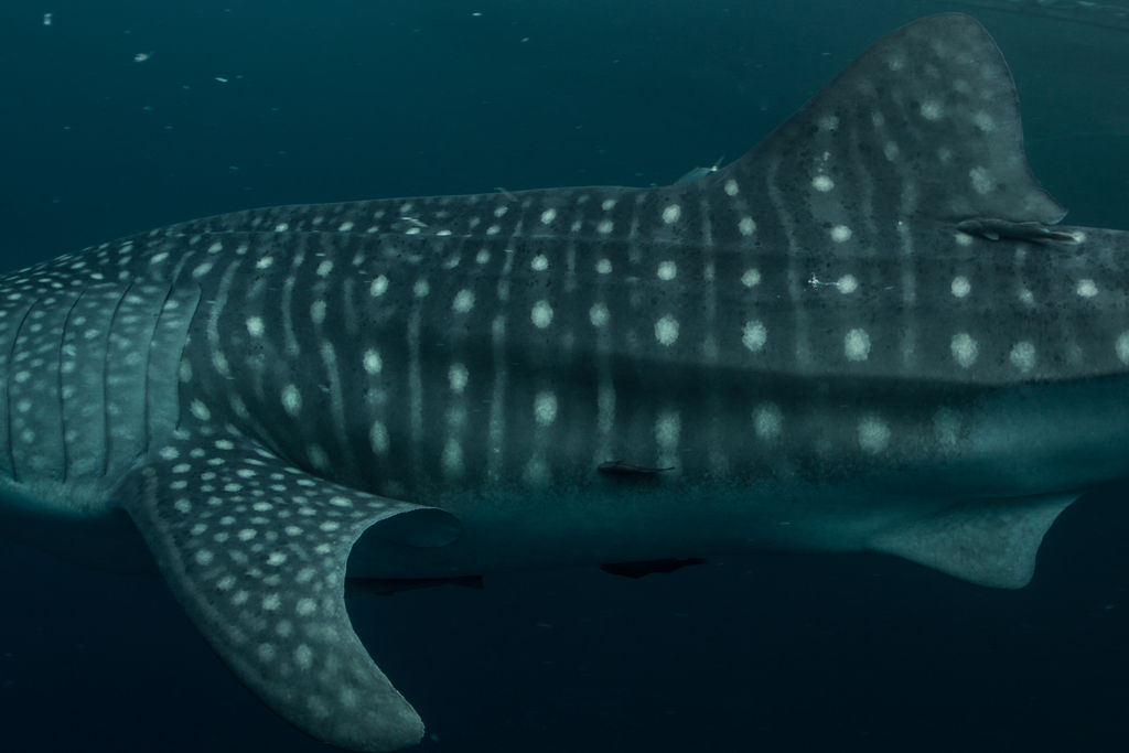 476880d0-a200-48d4-a74a-f04e63853e0f