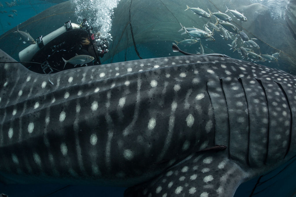 476880d0-a200-48d4-a74a-f04e63853e0f