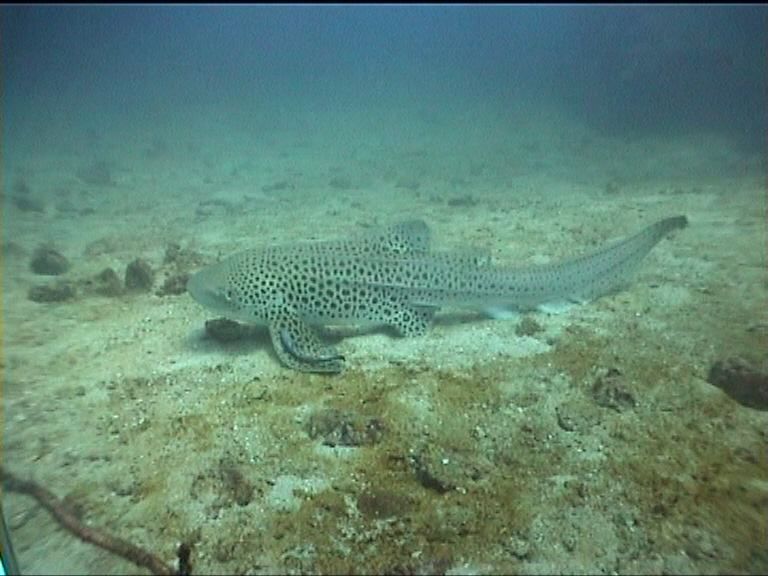 1a96d860-8214-41e2-92ac-9ad0492f6e72