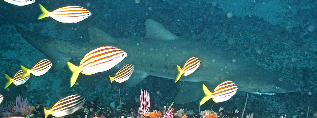 ef064a19-1460-48d4-aece-73faae828340