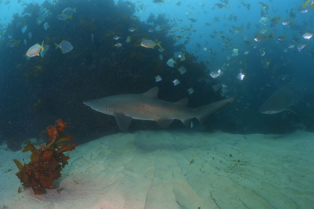 b71a51ef-e8a3-41d5-8599-1bf2353f1478