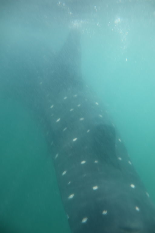 739b0b1a-734b-49b0-8d68-40eaf23e3a12