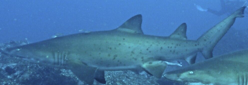 3f7d869e-7dfa-462d-8d77-a473cf758a16