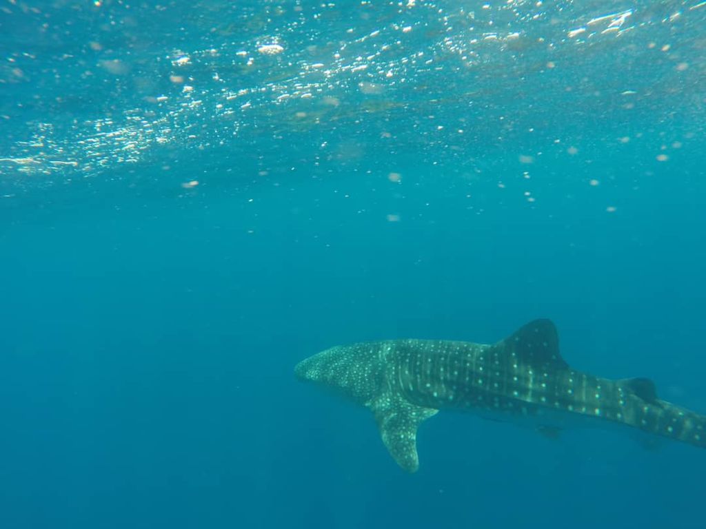 3b8618ea-40a1-49d8-8e13-4c138d87d93e