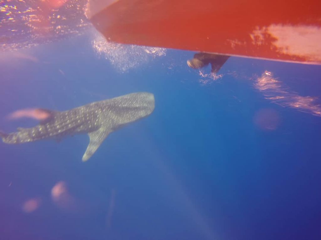 3b8618ea-40a1-49d8-8e13-4c138d87d93e