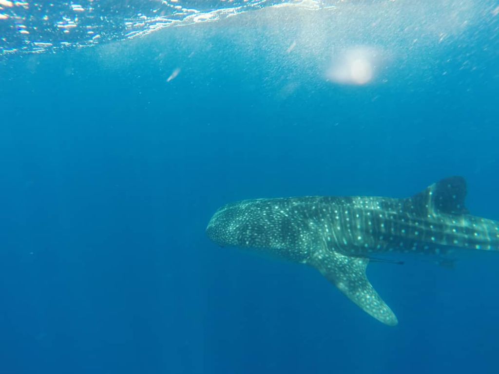 3b8618ea-40a1-49d8-8e13-4c138d87d93e