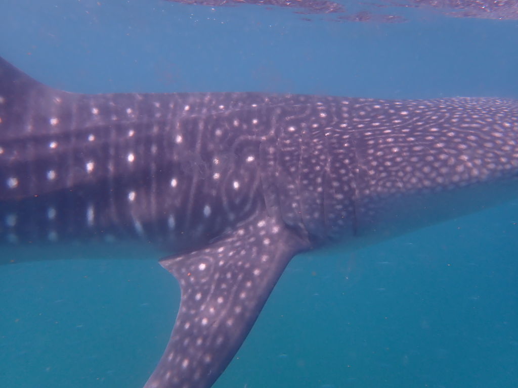 a7e7e02d-57b6-4d95-a7cd-1f81c40402f5