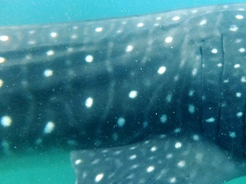 04a3f1fe-153f-4be8-a646-08d727e84682