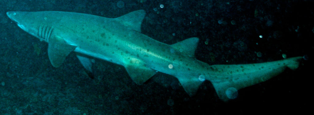 a67d46da-d4db-48a5-a642-f7cbd09258f6