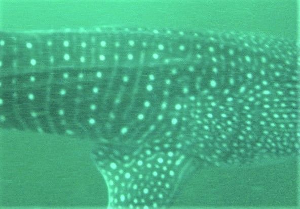 b37a36a8-9c14-43f3-83f9-a38f4bec6970