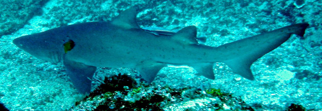 03116592-b95d-488d-9161-ac7b2abef762