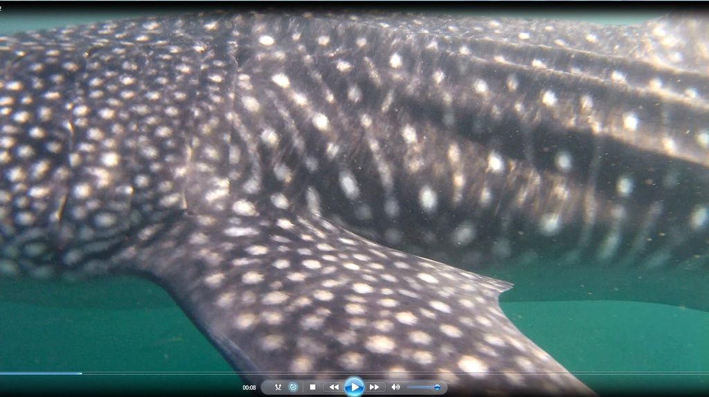 fa9365a6-3ba3-4568-aeae-5c87919e063d