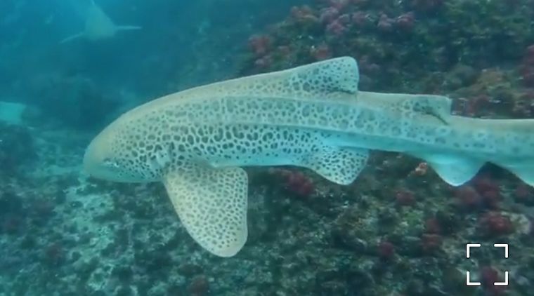 2545438b-3cc1-46a5-b122-d341f8eea9db