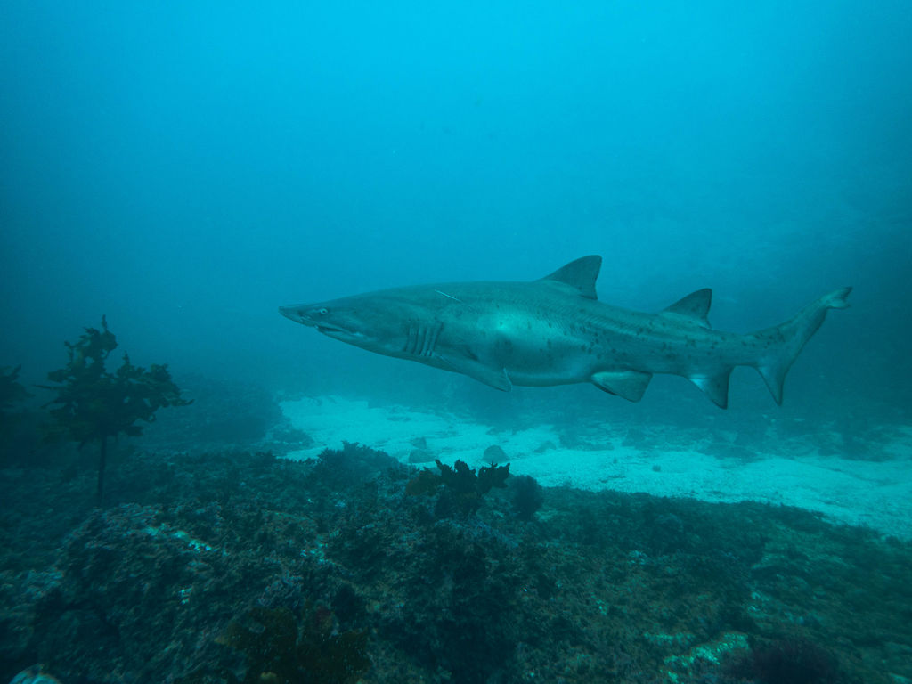 466d20d8-5dbf-4f3b-ad46-114d9b233e5f