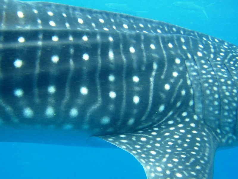 e6f2c3c1-3a6e-4105-9ee1-74604aed33dd