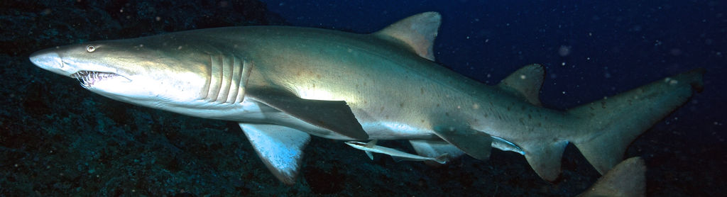 ac00deb3-b928-4f3c-82b0-6f6ccd036067