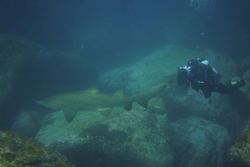 a296121c-f0a5-45aa-ab8d-c8d3dc17bf47