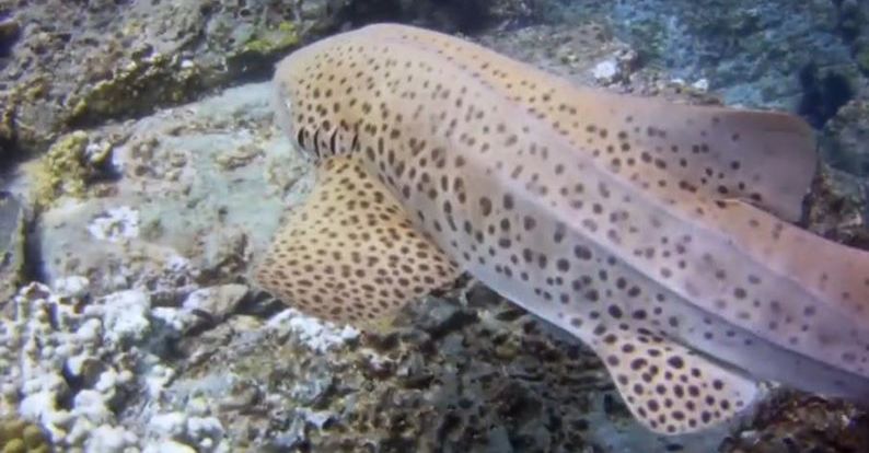 ec3f1382-f3f5-4183-9387-621235a2ef17