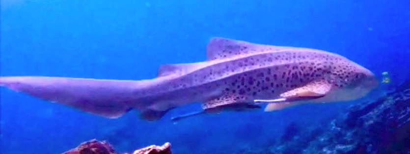 ec3f1382-f3f5-4183-9387-621235a2ef17