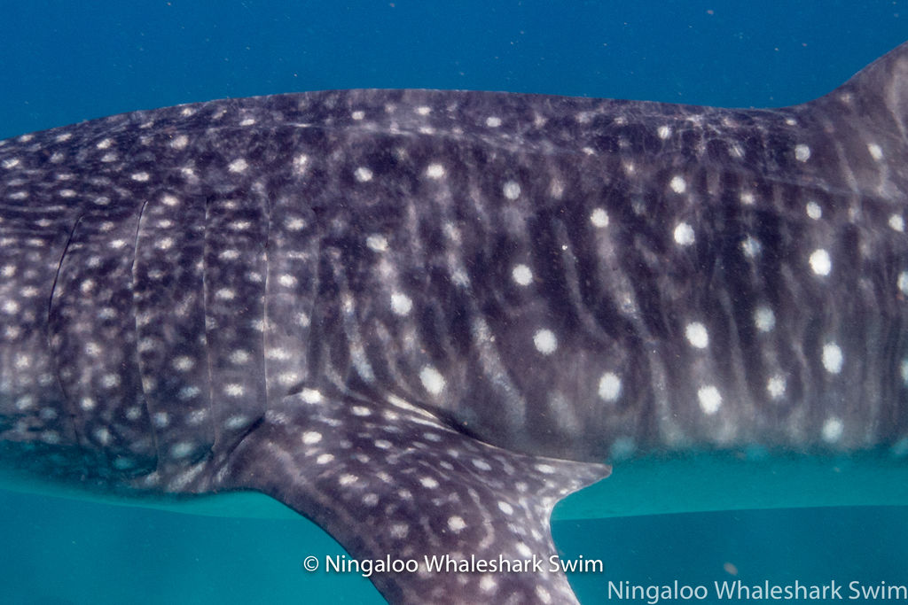 4226cb71-7431-49b7-907c-49d084ef4b70