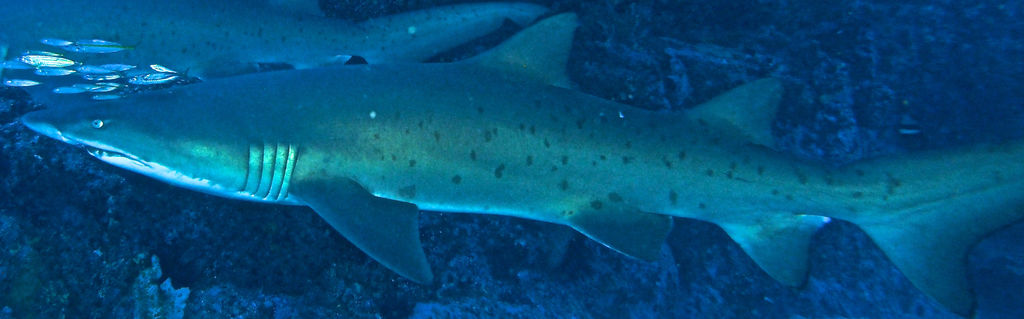 7bdf13da-5b19-4892-bb06-76417cda564c