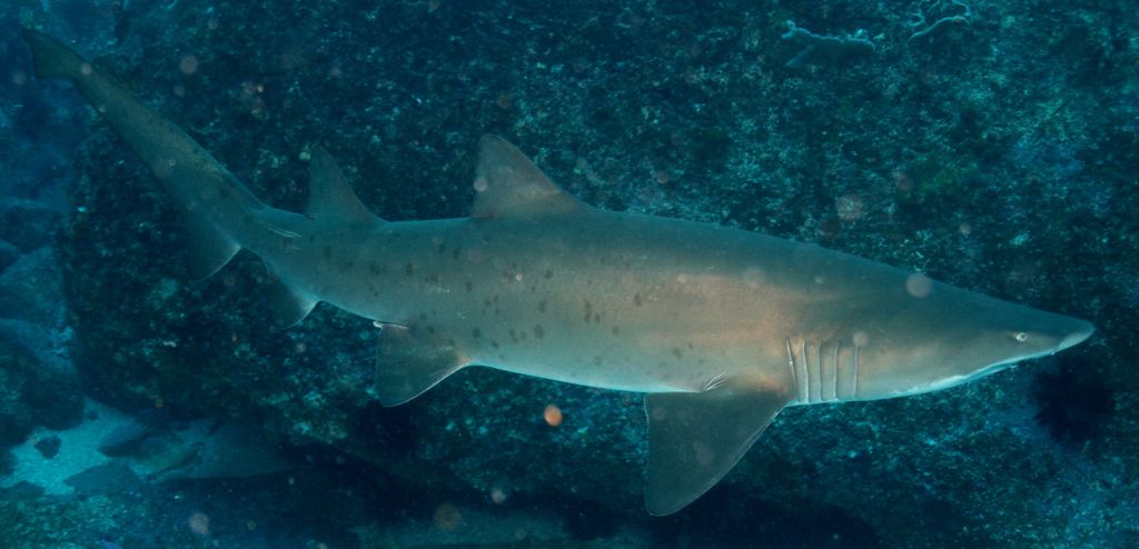 be7af0e0-9358-4168-9230-979c8df5832f