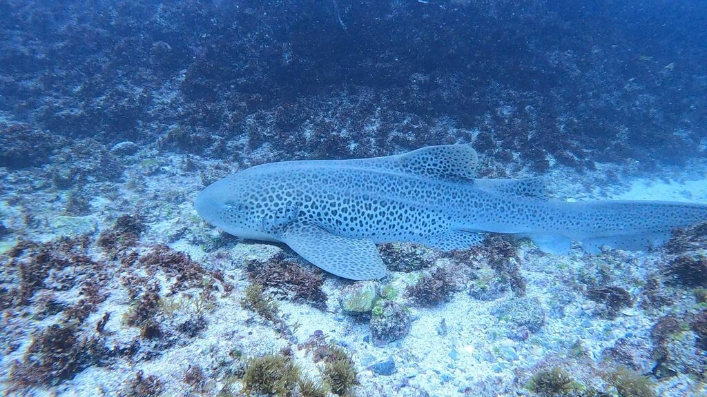 3a0e97f2-2667-4067-9dc1-cffe2746ef29