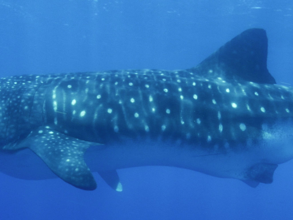 cc1e99b6-67ea-4796-a468-987032e23a76