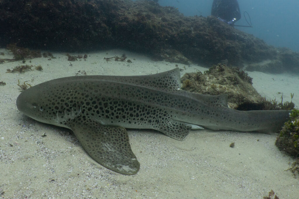 714d8c26-a87d-40fe-818a-2b1c8d23990b