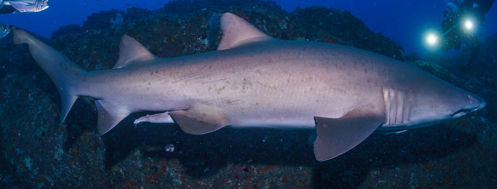 4ee75010-71a0-4c3a-8f3b-1937f0ef2665