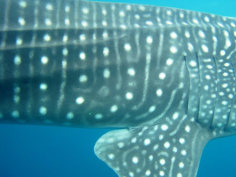 98a8baa7-5ce0-4543-ab81-cf888d6eb37a