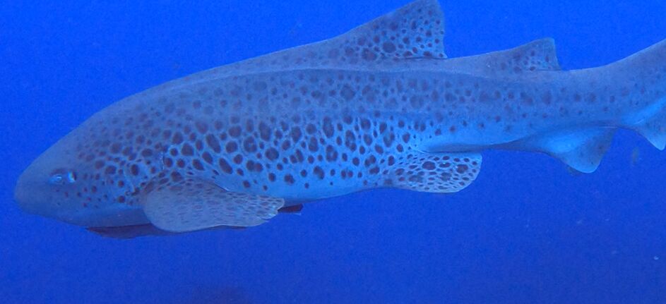 34d9b194-5317-4174-a80a-30e658b7f444