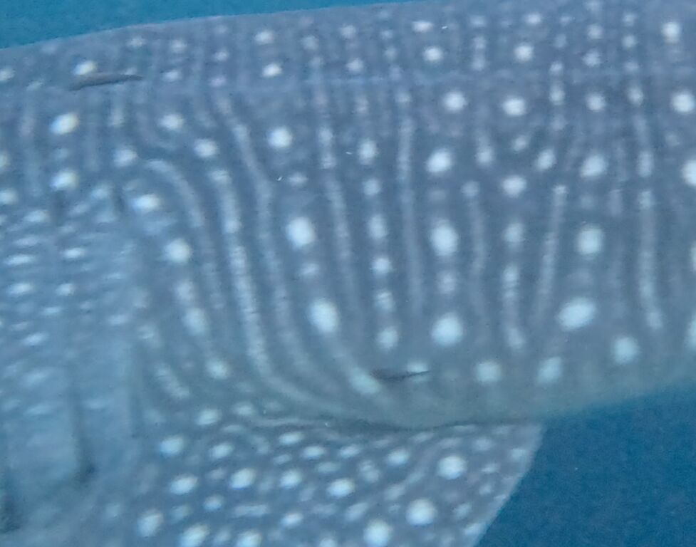 b5bfd4f6-32a5-462c-b7de-54fd987263cd