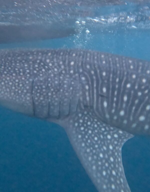 b5bfd4f6-32a5-462c-b7de-54fd987263cd