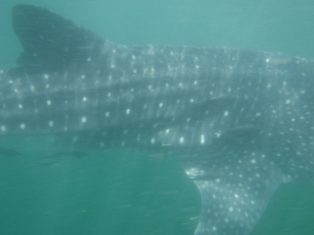 c821569e-aa5f-4ce5-bbac-e152eb8fc197