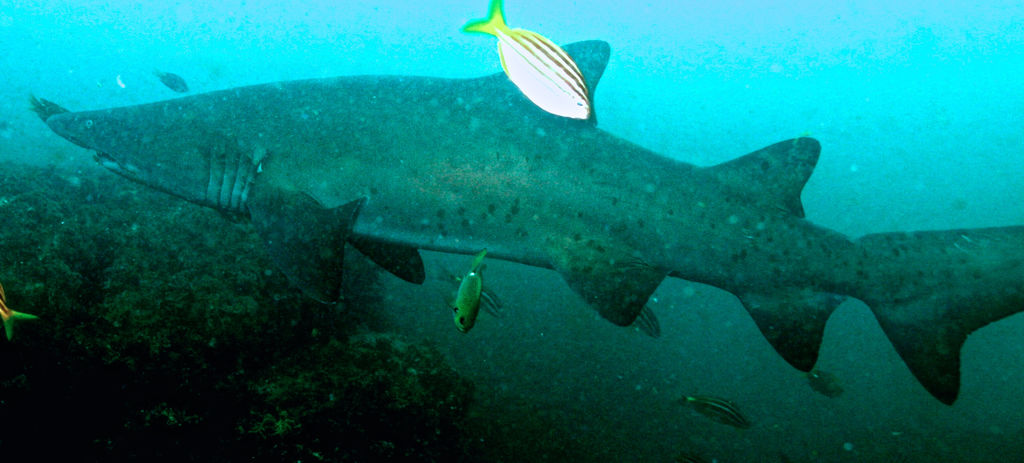 29d8ddf0-1b29-4144-8ff6-2f9a3dd08797