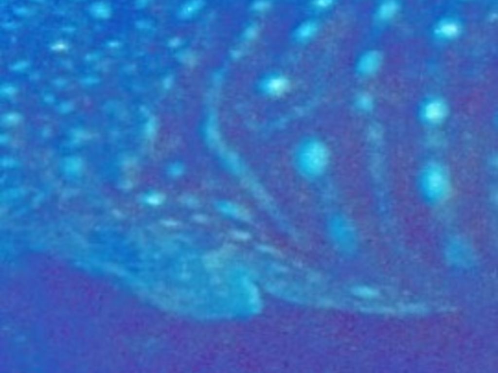 5c36e642-bef0-42d8-98f0-06e36984ac8e