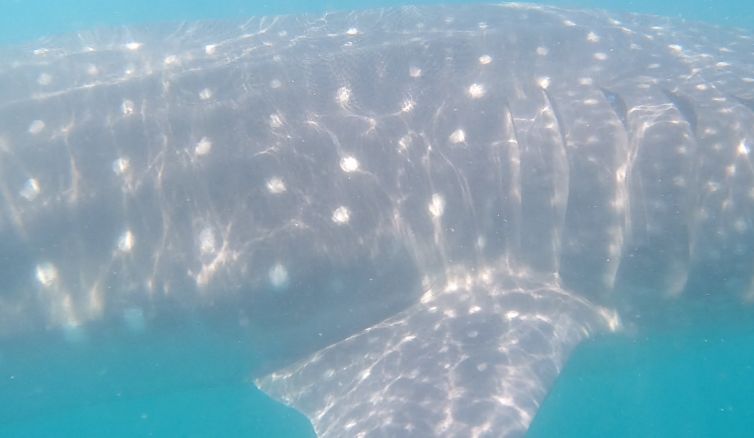 d3d776b9-703a-4f4f-b785-cc2209f714ed