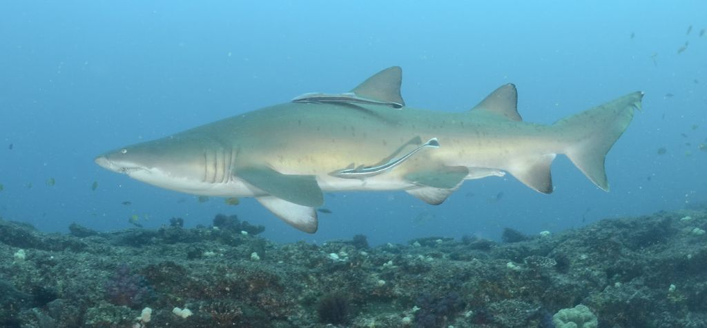 e1f67b0b-7194-43ee-831b-dd379bc1d980