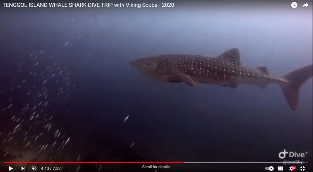 7098d840-1f8d-4352-9a0c-b72f1de8a249