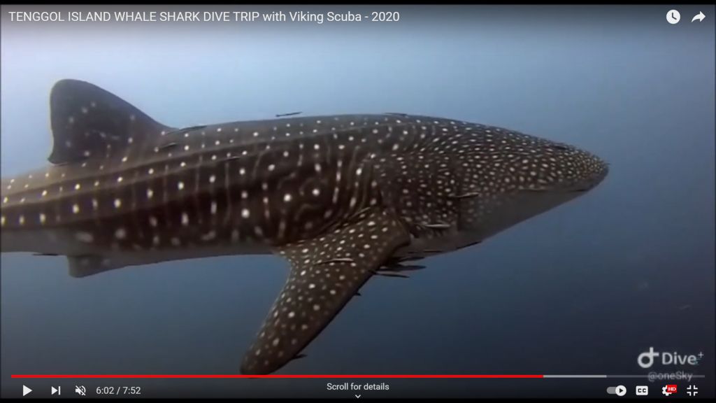 7098d840-1f8d-4352-9a0c-b72f1de8a249