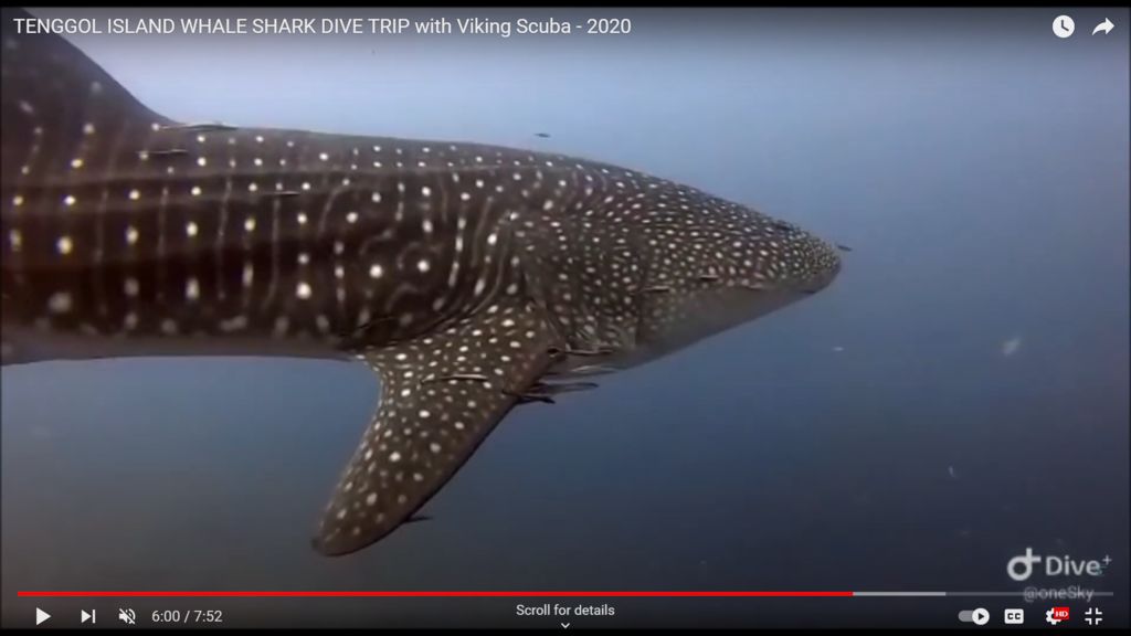 7098d840-1f8d-4352-9a0c-b72f1de8a249