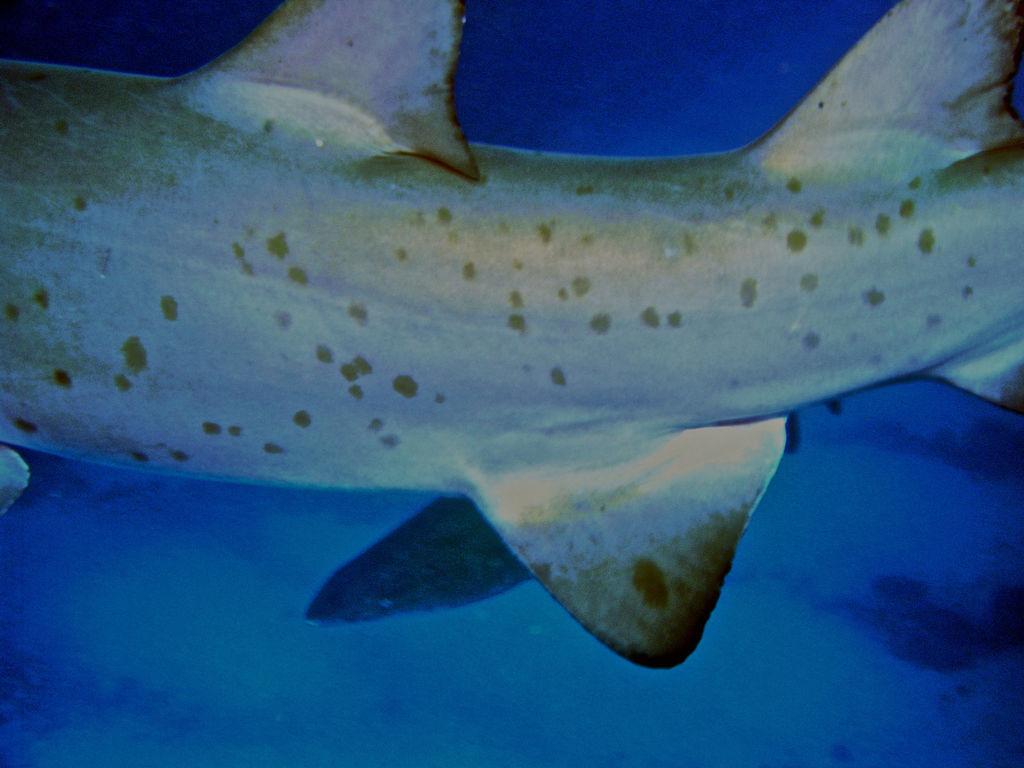 08892bcc-241d-4fd0-845d-ccbd4bea8021