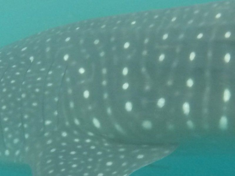 dc1302da-6fbd-43d5-a5d0-c1e189a819a6