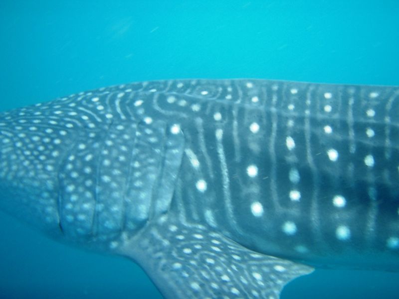 ae567d3b-7c7a-4195-9d61-f9f28b74a668