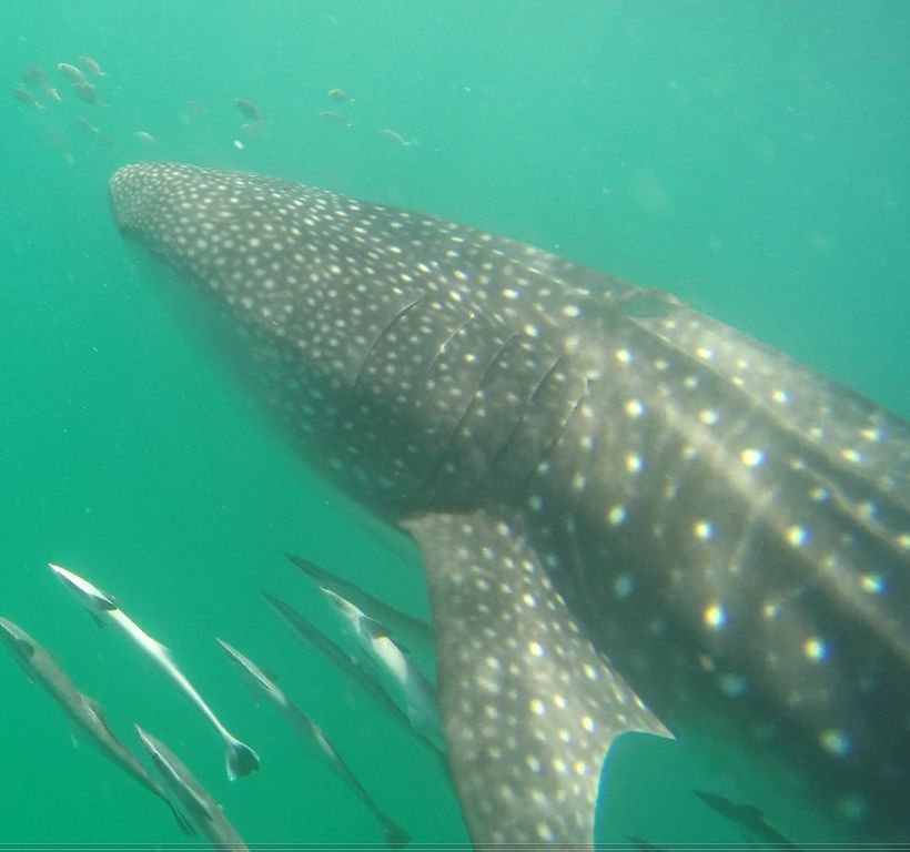 30d333fe-15af-4d73-a9c8-47cd9cd7a7c4